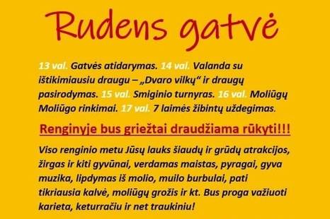 Moliūginės. Rudens gatvė.